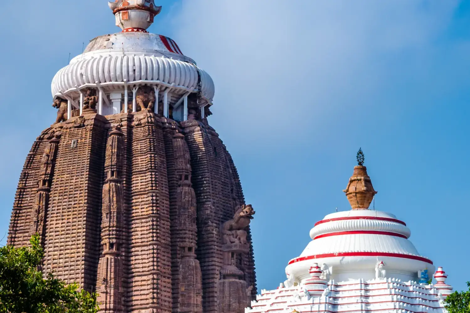 Jagannath Temple Puri Odisha