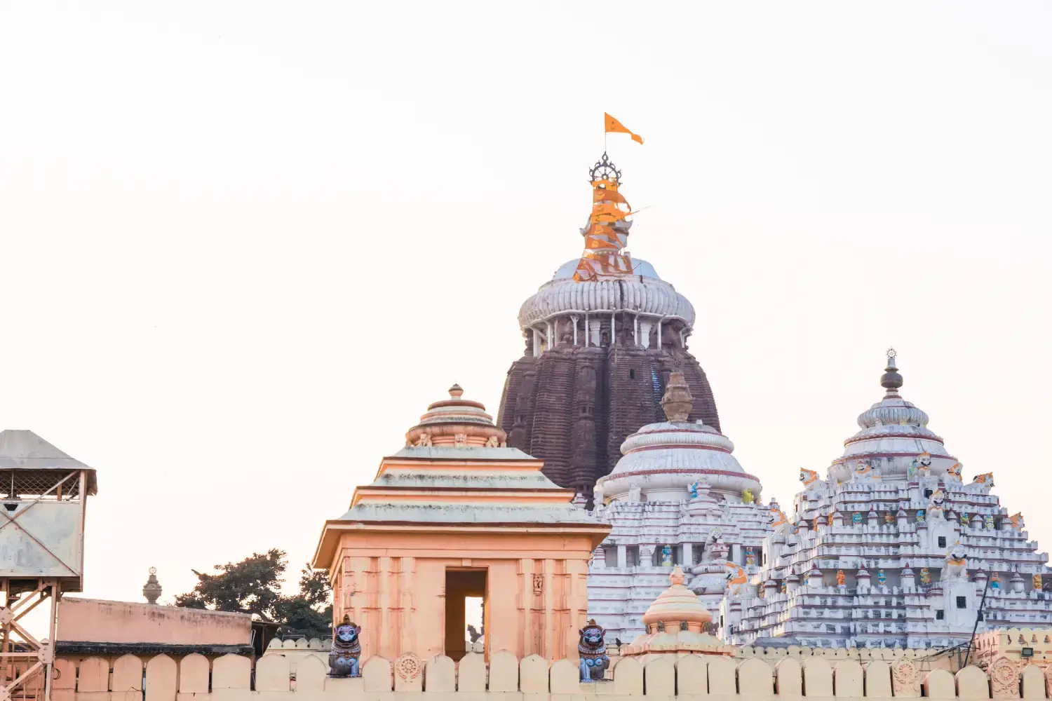 Jagannath Temple Puri Odisha