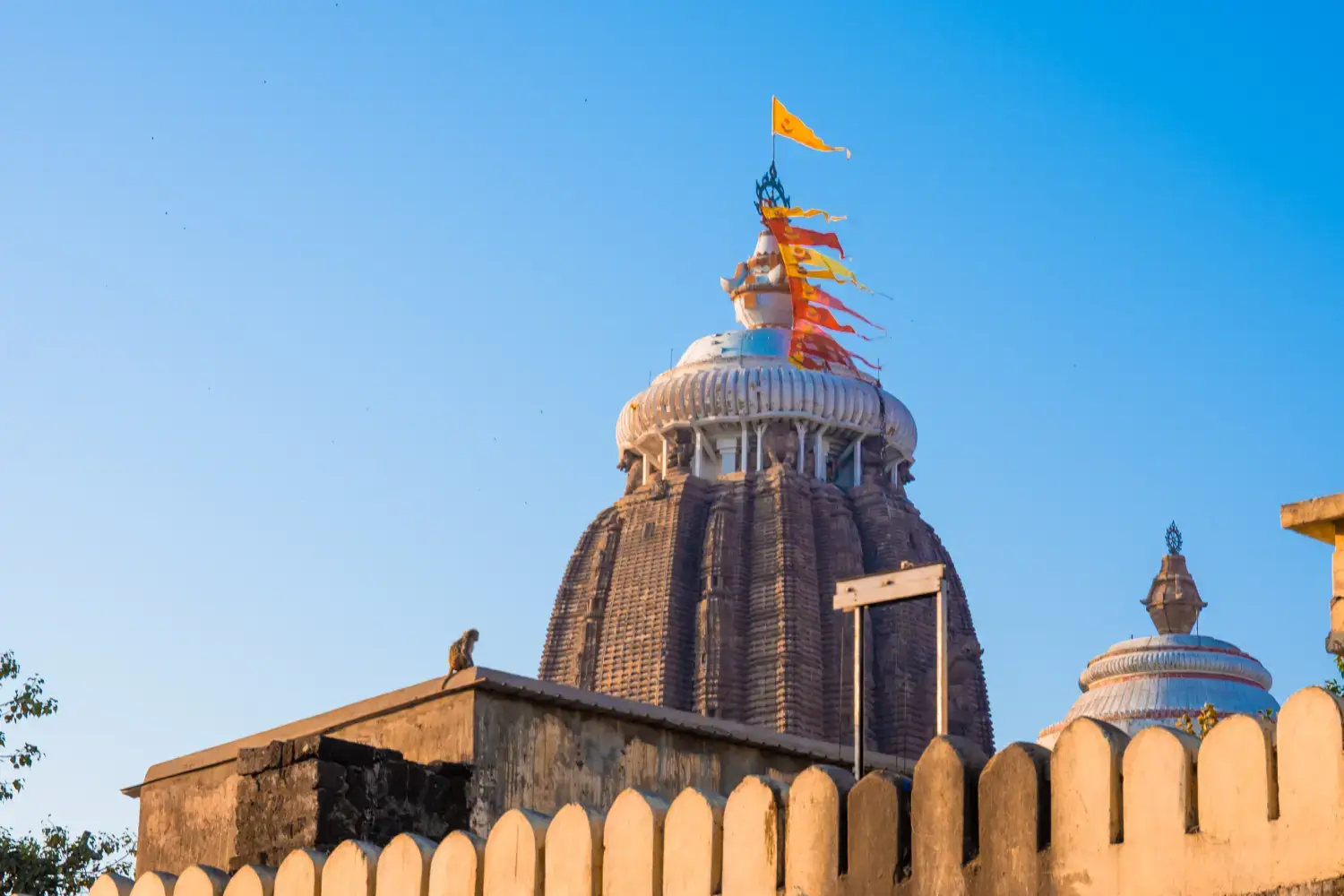 Jagannath Temple Puri Odisha