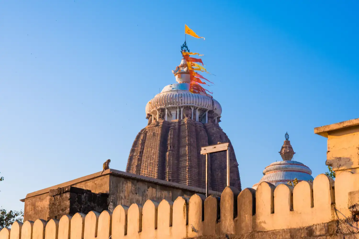 Odisha Jagannath Temple Tour